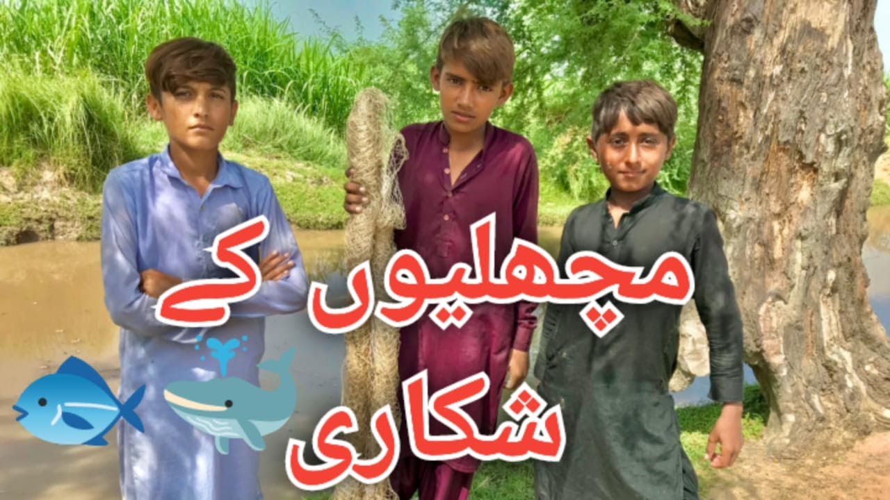 Machaliyon ke  shkari; مچھلیوں کے شکاری;  Creative commons channel=Niaz ahmad 7575