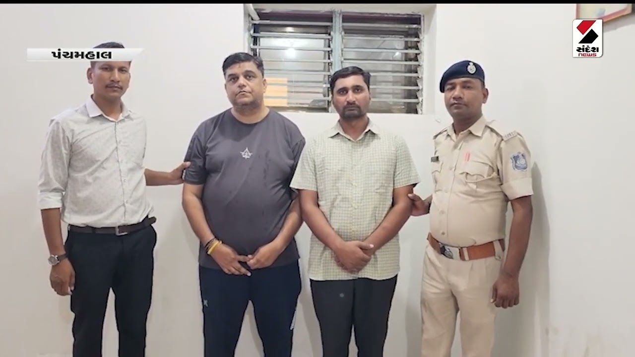 Important News | Navsari | Rain | Dhoraji | Morbi | Panchmahal | Police | Bhuj | Gujarat