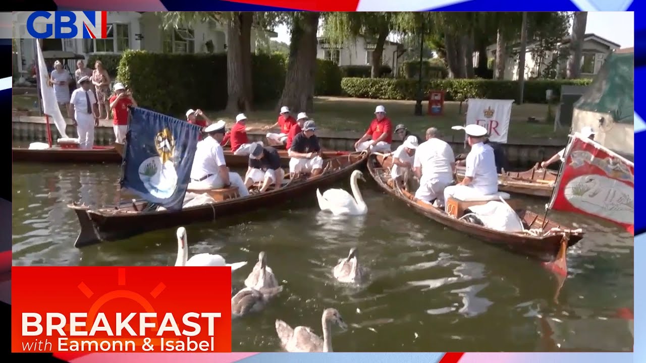 Swan Upping: Annual census of the swan population along the River Thames  takes place