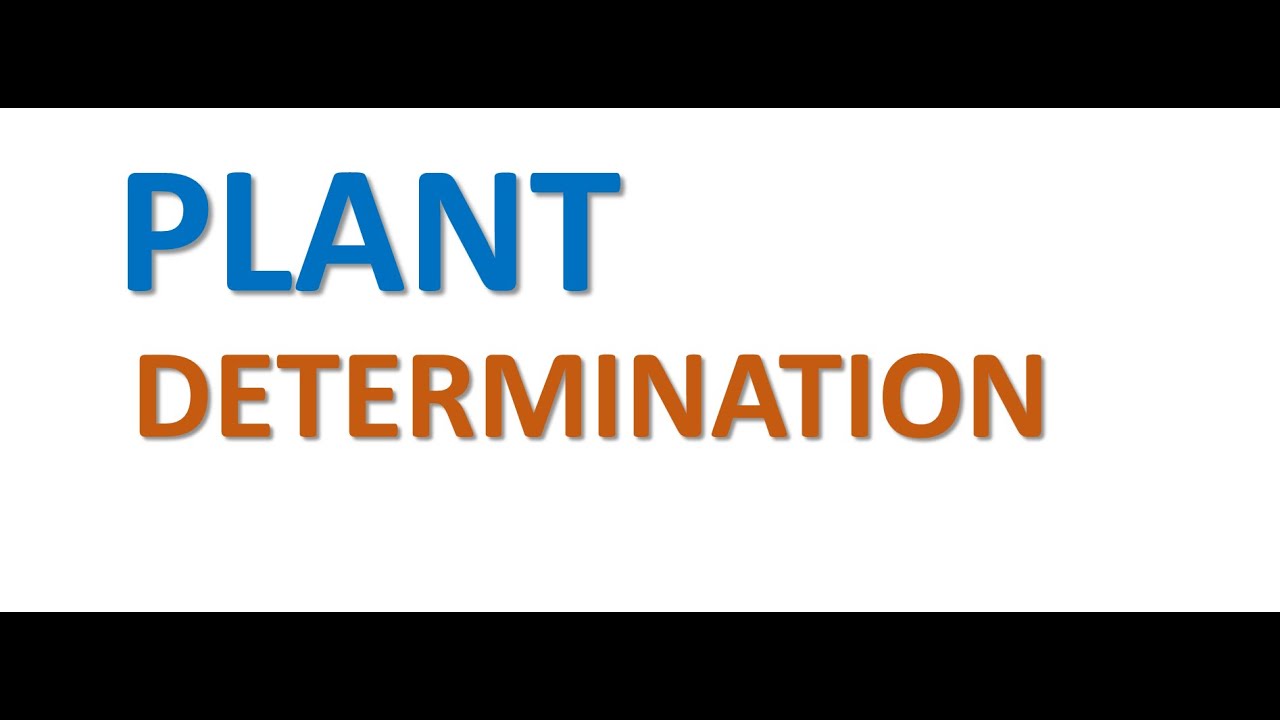SAP SD: 28. HOW THE PLANT IS DETERMINATED IN SALES ORDER? ||SAP SD FULL CONTENT ||