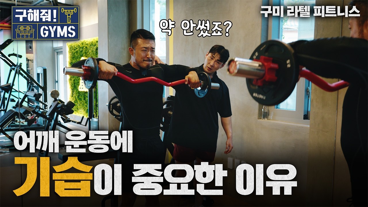 효율을 극대화시키는 어깨운동법(ft.스테로이드에 대한 입장)