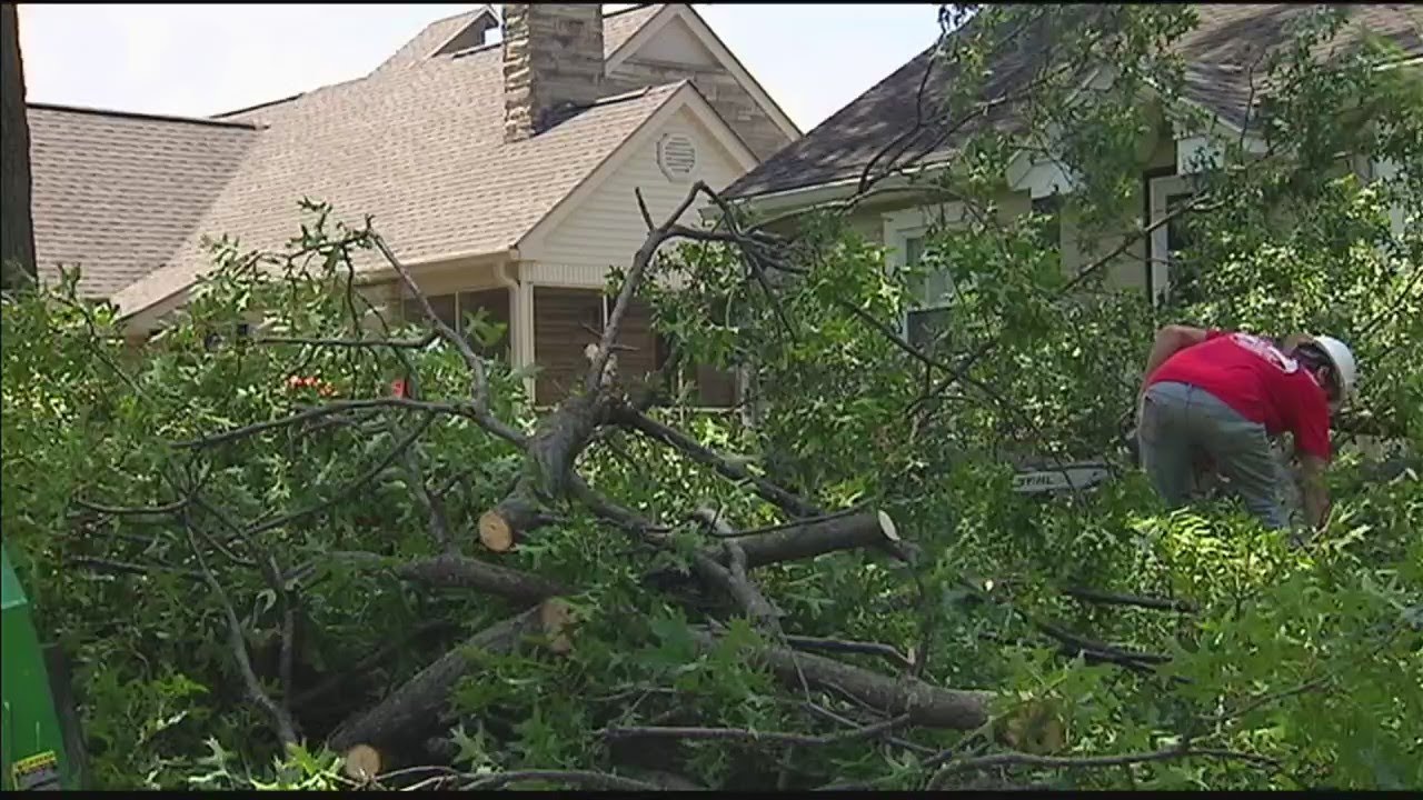 Crew makes cleaning up storm debris their business