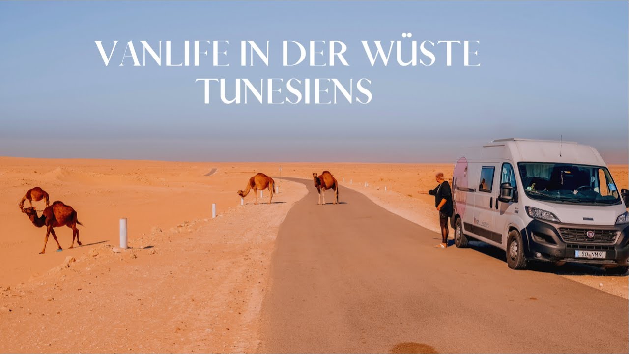 Vanlife in Tunesien - Zwischen Wüste, Kamelen und Oasen
