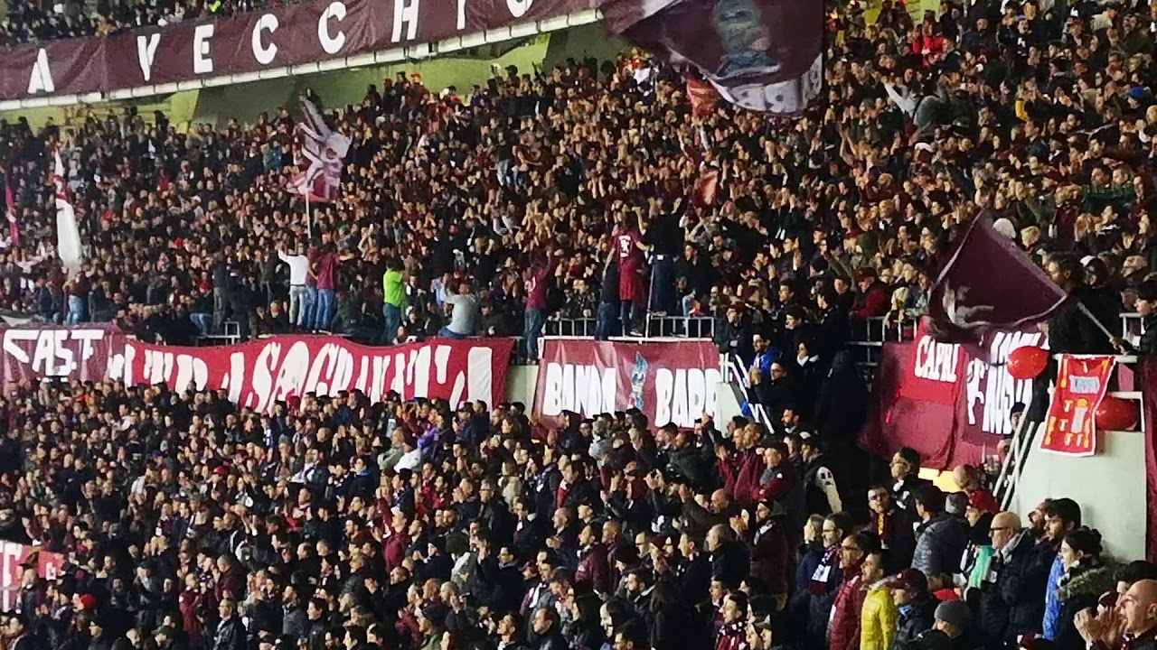 Toro Samp.....