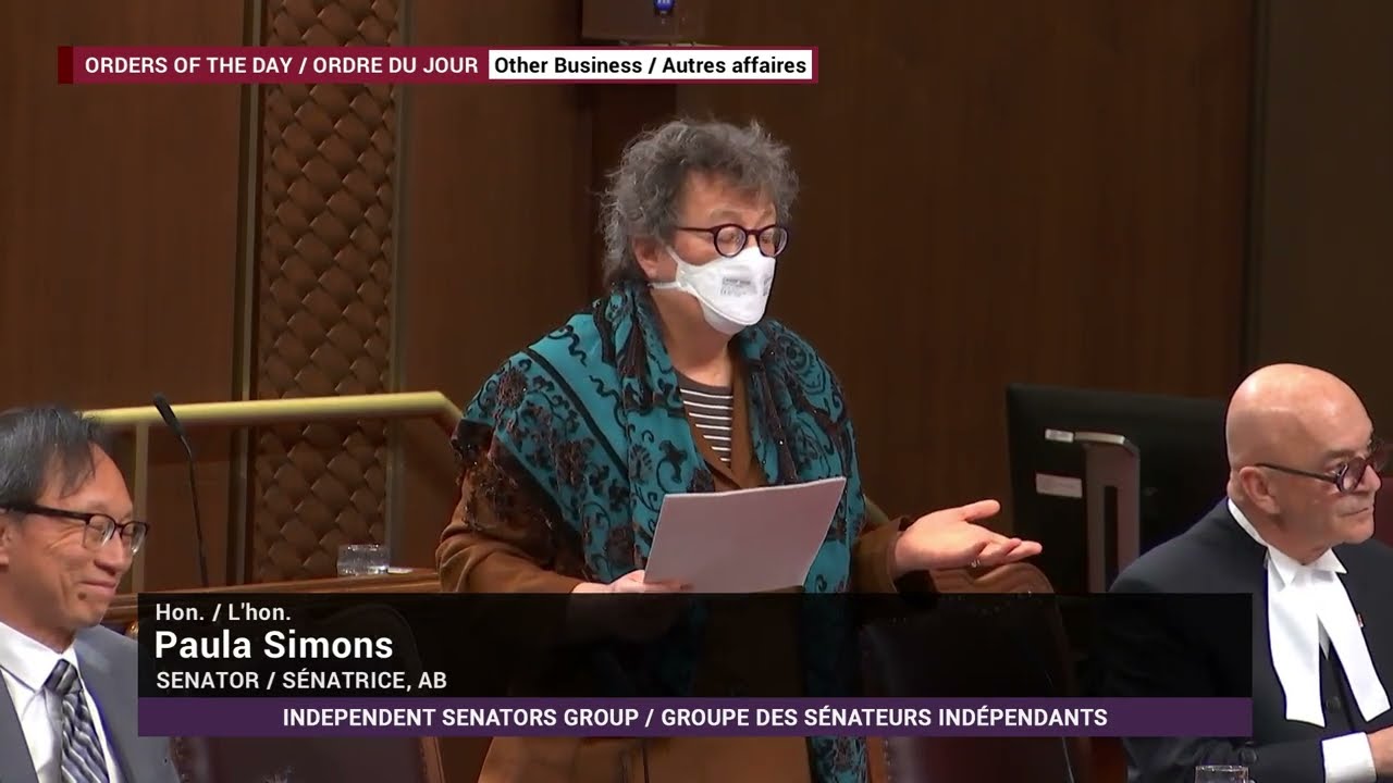 Satellite Inquiry: Falling Space Junk and Skyrocketing Congestion, Pollution and Liability Concerns