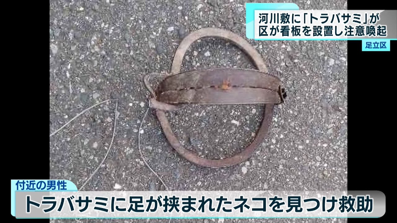 使用は原則禁止　荒川河川敷に狩猟用「トラバサミ」