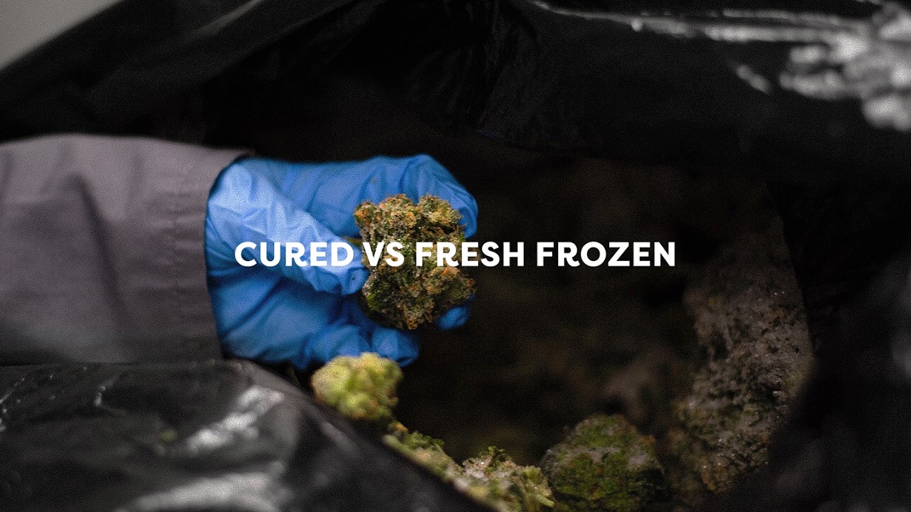 Cured vs Fresh Frozen