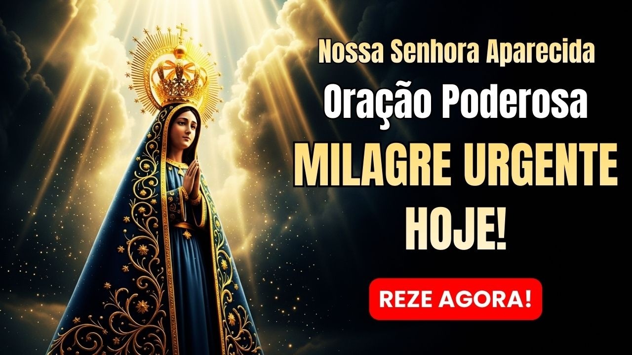 N. Sra Aparecida está trazendo seu Milagre Hoje! Oração Urgente!🚨🙏