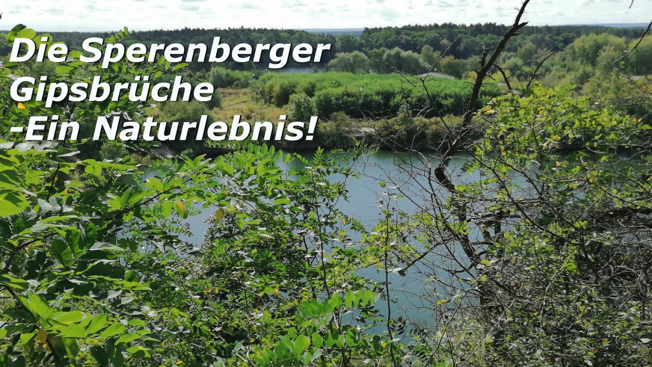 Die Sperenberger Gipsbrüche - Vor allem ein Naturerlebnis