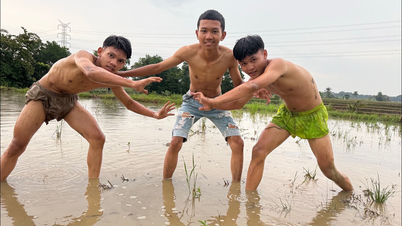 Wrestling on ricefield