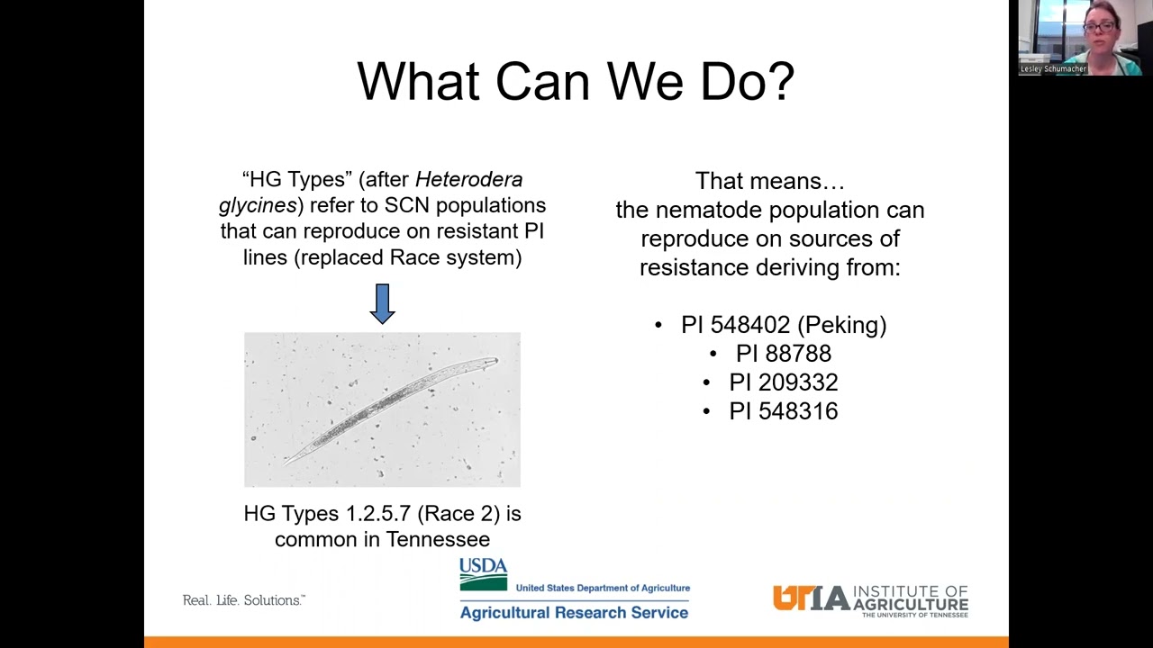 Using Resistance to Manage Soybean Cyst Nematode