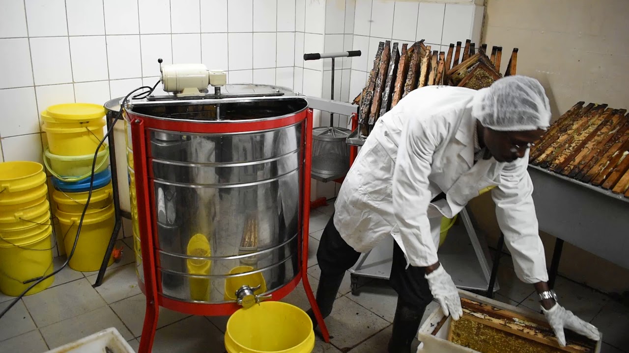 Honey Extraction from Frame Hives