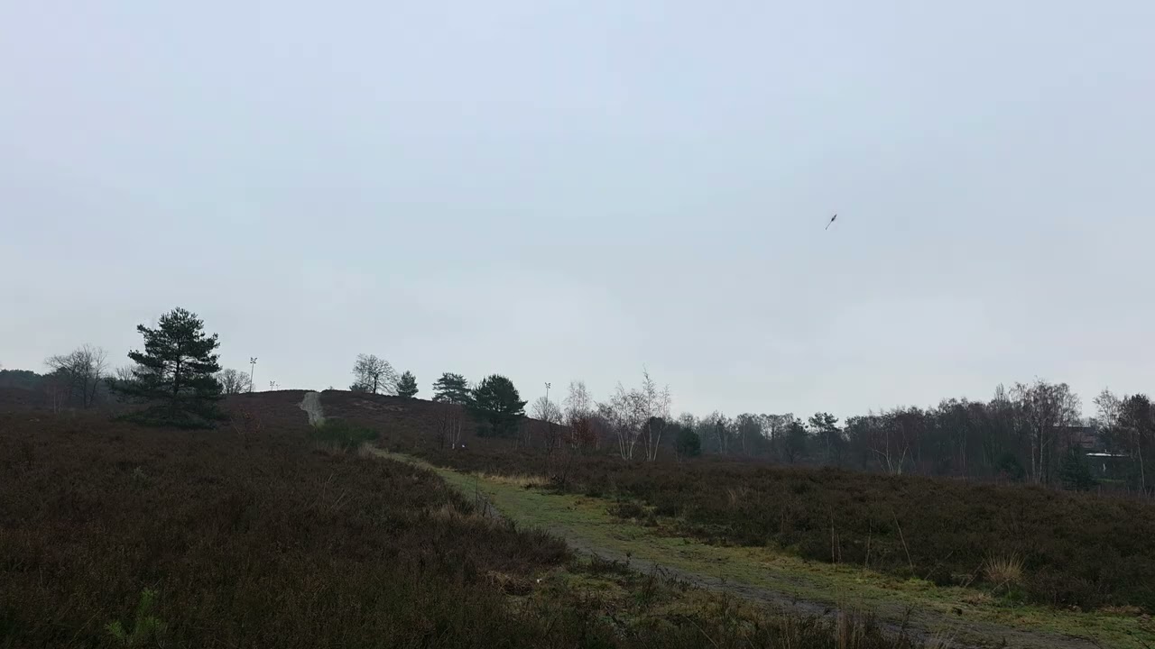 Goosky S1 max Rotorflight FlywooF405nano Goku part 2