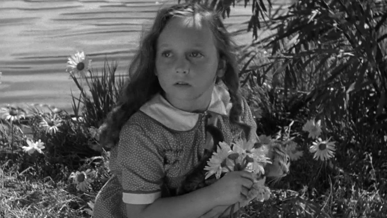 Children of the Night - Tribute to classic horror (featuring Bela Legosi's Dead by Nouvelle Vague)