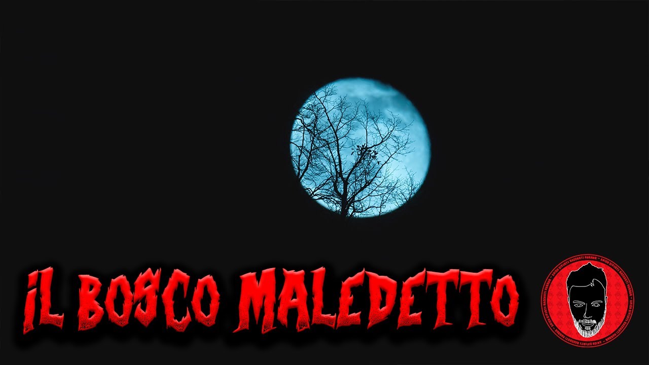 Il bosco maledetto - Racconti Horror 423
