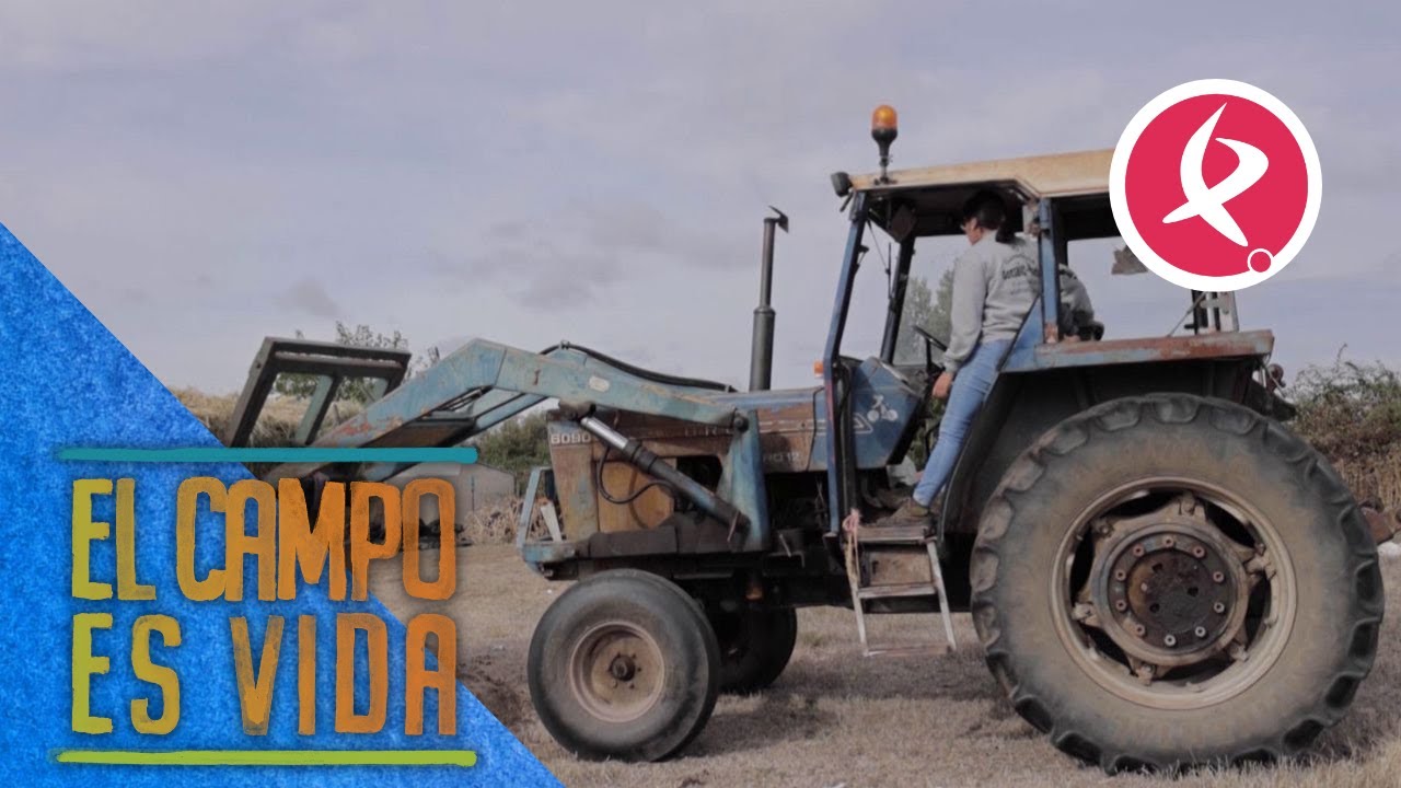 Isabel le imparte unas clases de manejo de tractor a Lidia | El campo es vida