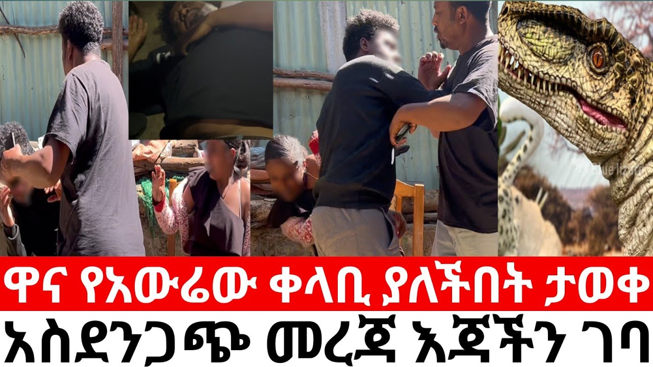 ዋና የአውሬው ቀላቢ ያለችበት ታወቀ ? አስደንጋጭ መረጃ እጃችን ገባ |yneser ayne የንስር አይን @ynserayne 