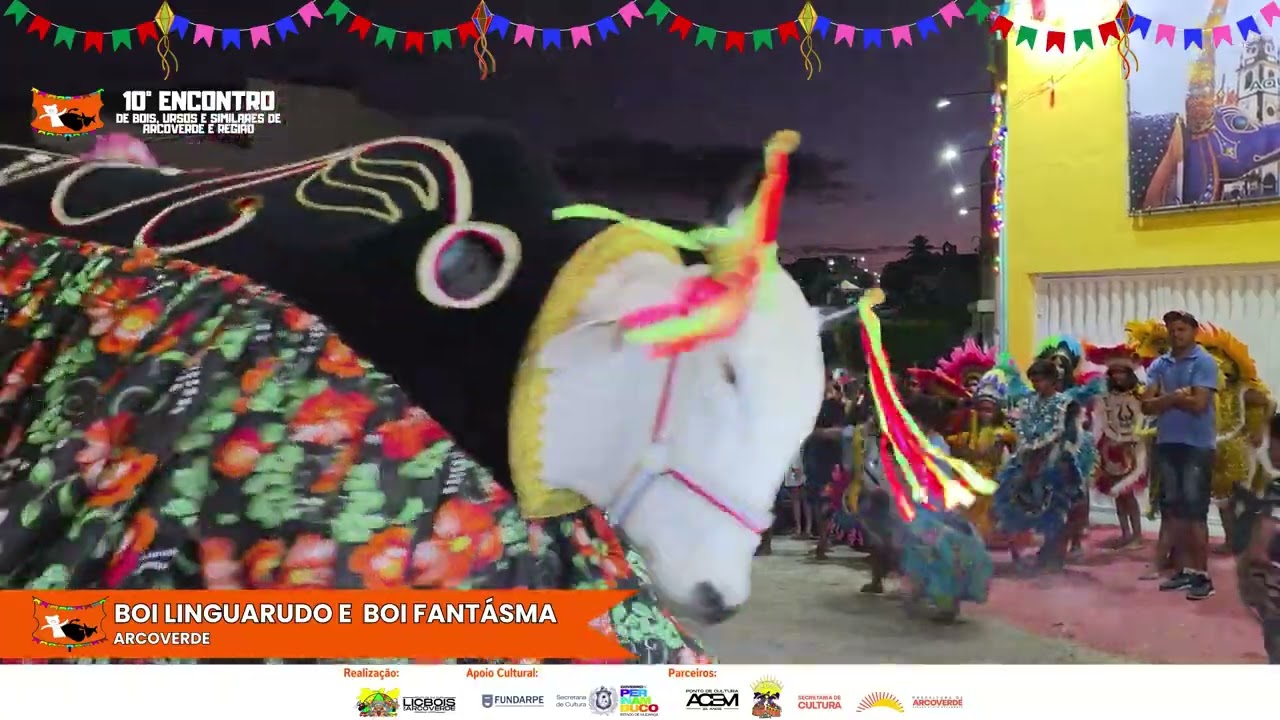 Boi Linguarudo e Boi Fantásma    Encontro de Bois, Ursos e Similares da cidade de Arcoverde