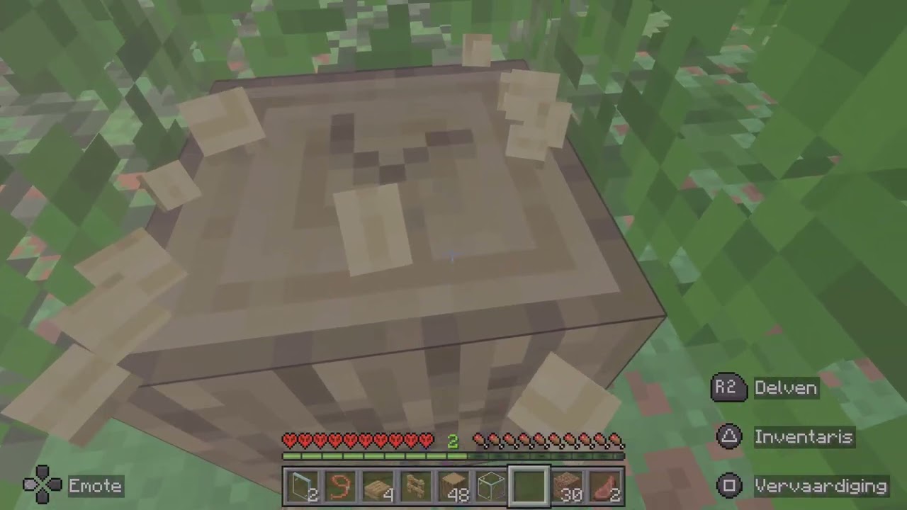 Building a storeges room
