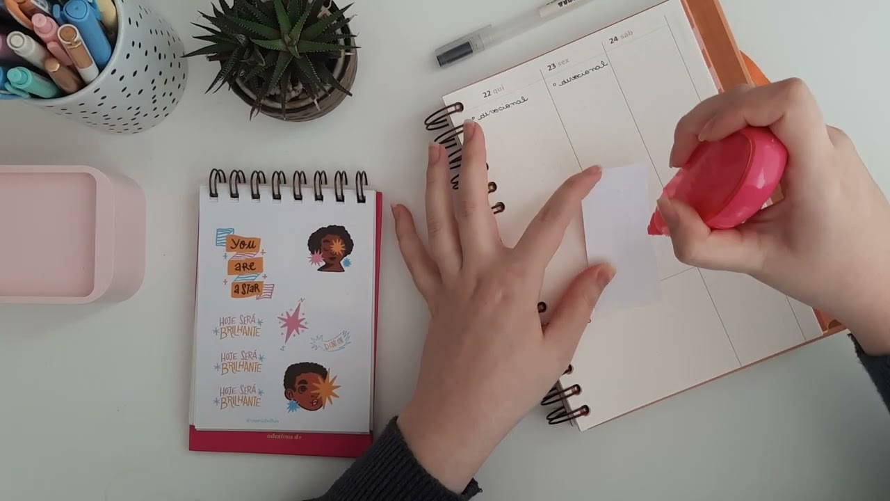 Planeje uma semana comigo | Organiza&ccedil;&atilde;o Semanal, Planner Flordemim 2022