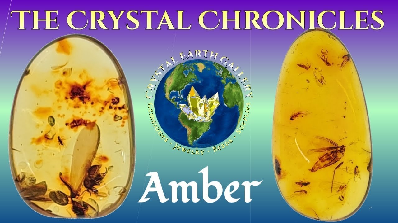 Amber Inclusions: Trapped in Time! What&rsquo;s Inside This Fossil? - Crystal Earth