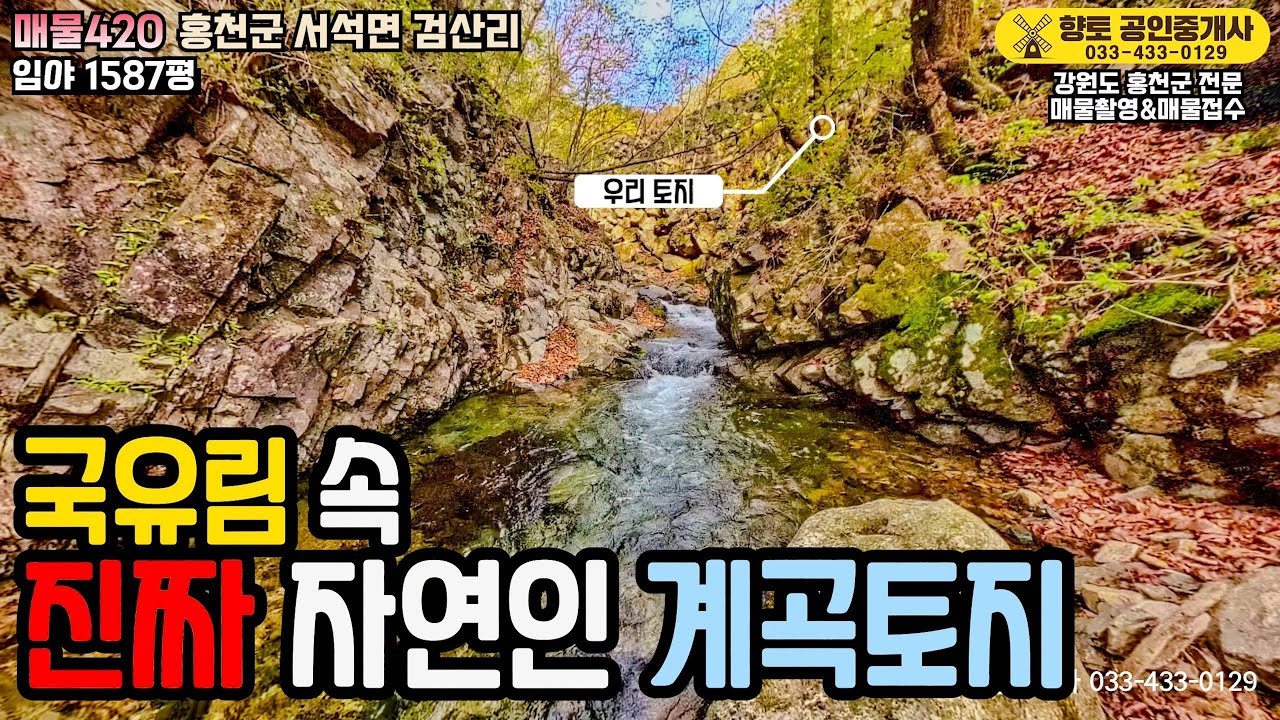 [전속매물]매물420 마지막 국유림 속 단독 선녀탕, 폭포계곡 품은 진짜 자연인 토지 1억8천만원