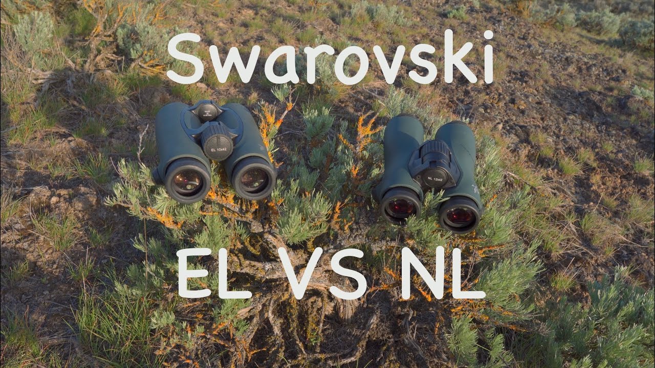 Swarovski EL VS NL Review