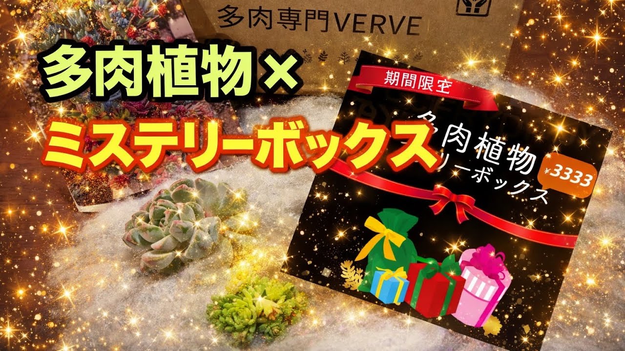 多肉専門VERVEさんでブラックフライデーセール買ってみた！
