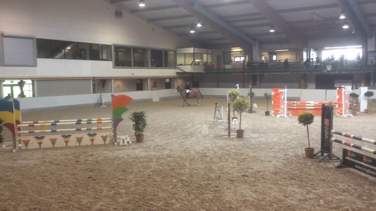 Zinique (Concorde X Burggraaf)