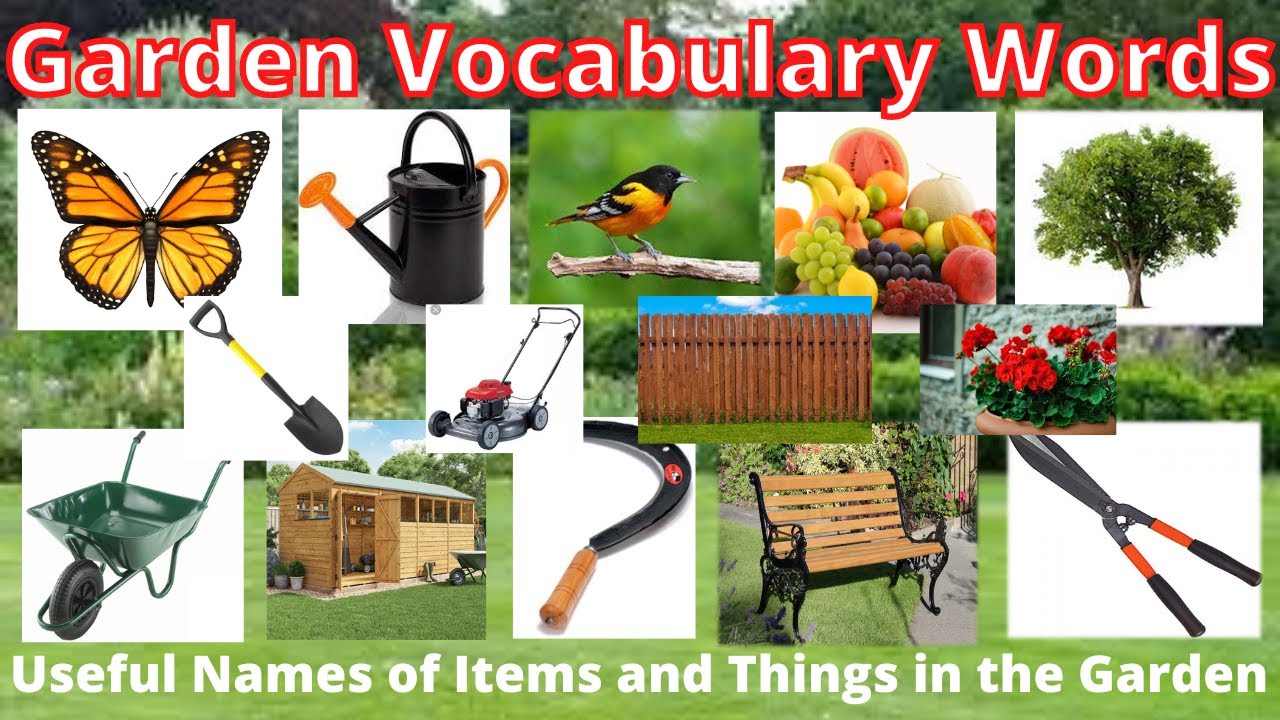 GARDEN VOCABULARY WORDS QUIZ | USEFUL NAMES OF ITEMS AND THINGS IN THE GARDEN | ENGLISH PRO