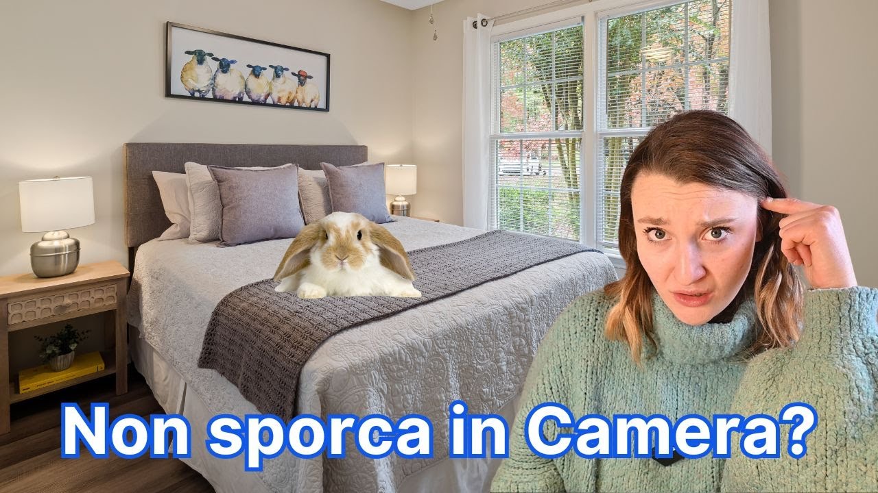 Vivere con un Coniglio in Camera da Letto: 6 Passi per una Convivenza Serena e Sicura