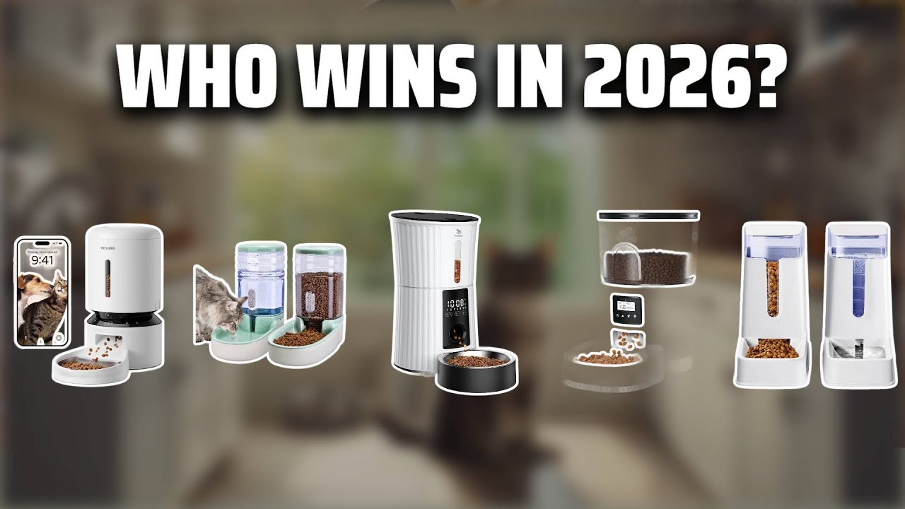 The Top 5 Best Cat Food Dispenser in 2026 - Must Watch Before Buying!