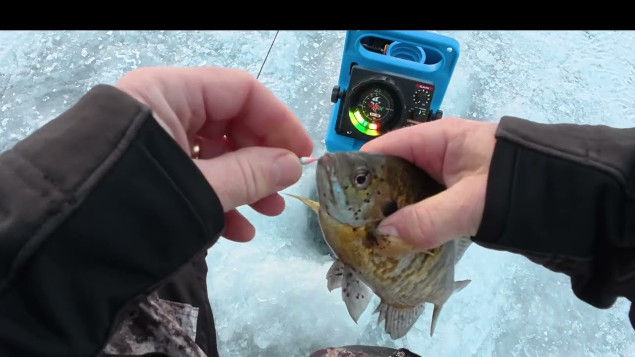 Crystal Lake IL ice fishing