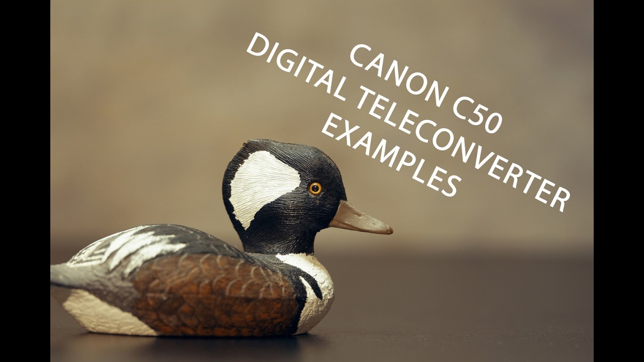 Canon C50 Digital Teleconverter Examples