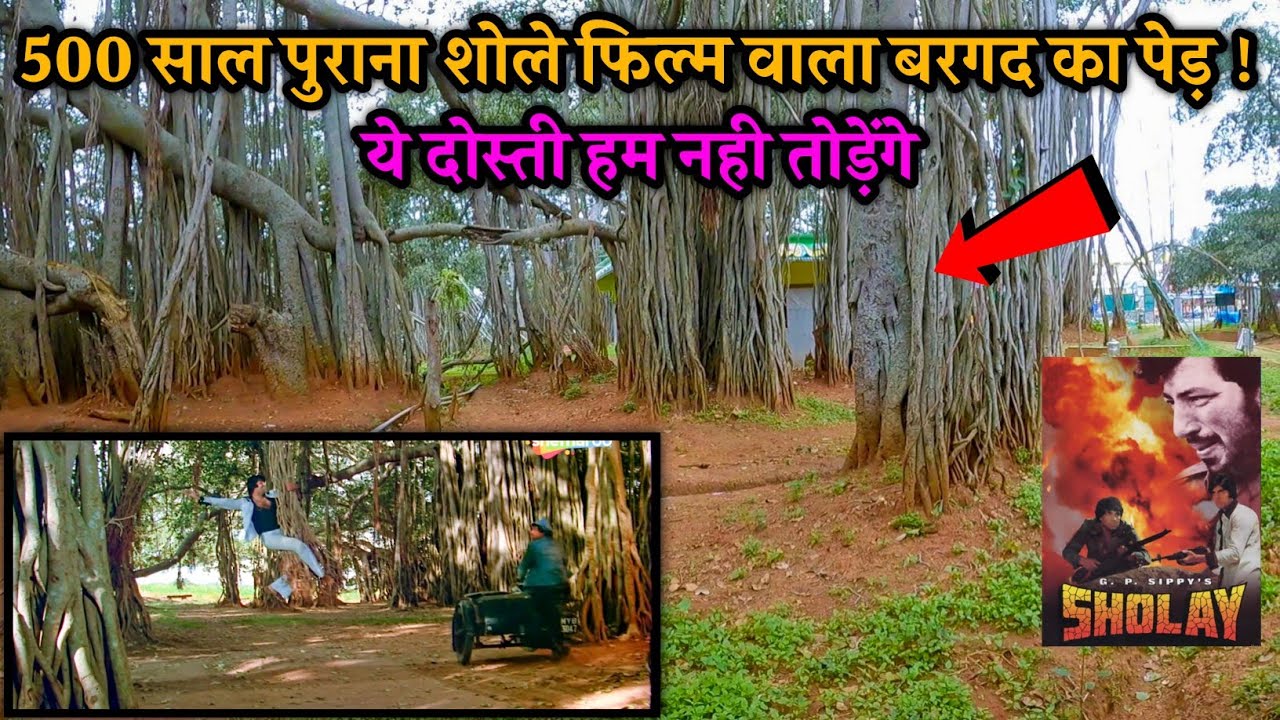 500 साल पुराने बरगद के पेड़ के नीचे हुई थी शोले फिल्म की शूटिंग // ये दोस्ती हम नही तोड़ेंगे