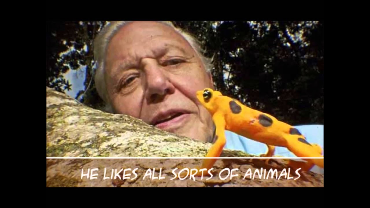 Naturalists