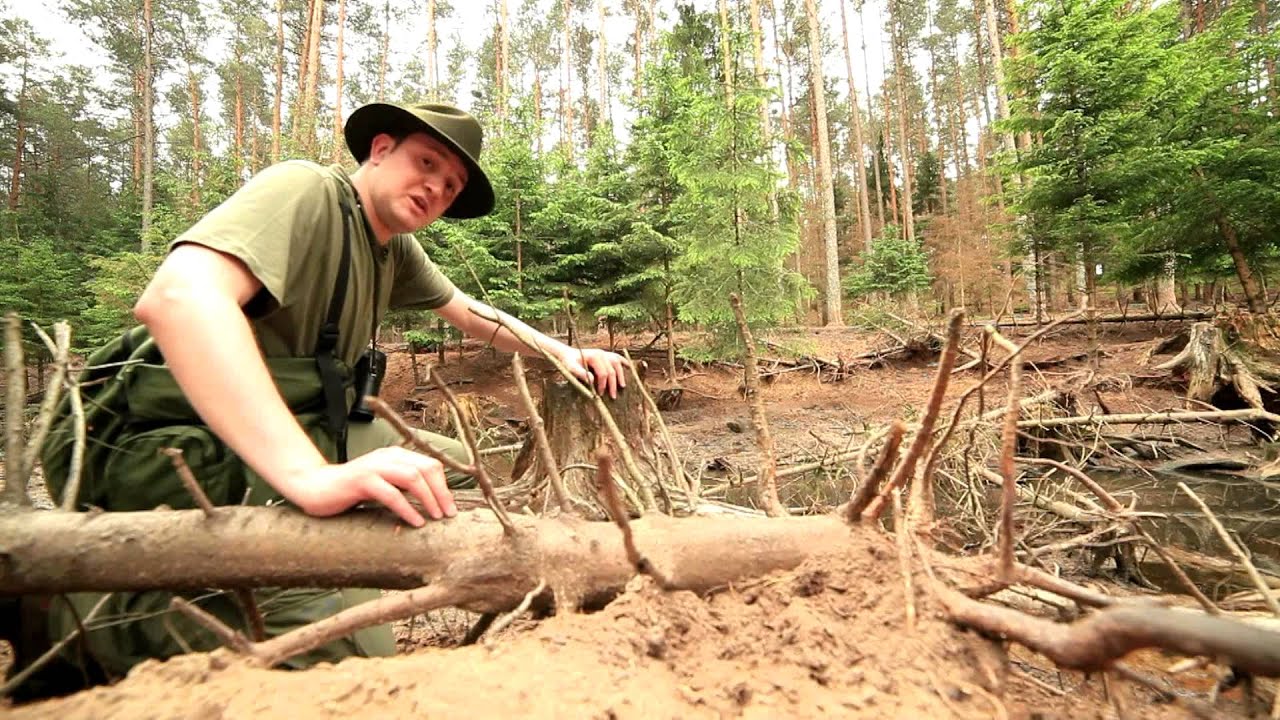 Tajemnice Kniei, odc. 1: Dzika jest natura dzika