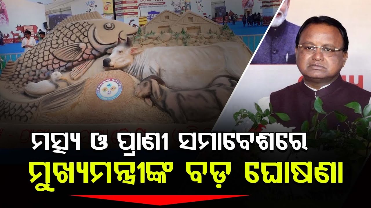 ମତ୍ସ୍ଯ ଓ ପ୍ରାଣୀ ବିଭାଗ ଉନ୍ନତି ପାଇଁ ସରକାରଙ୍କ ବଡ଼ ଘୋଷଣା ll FOCUS PLUS ||