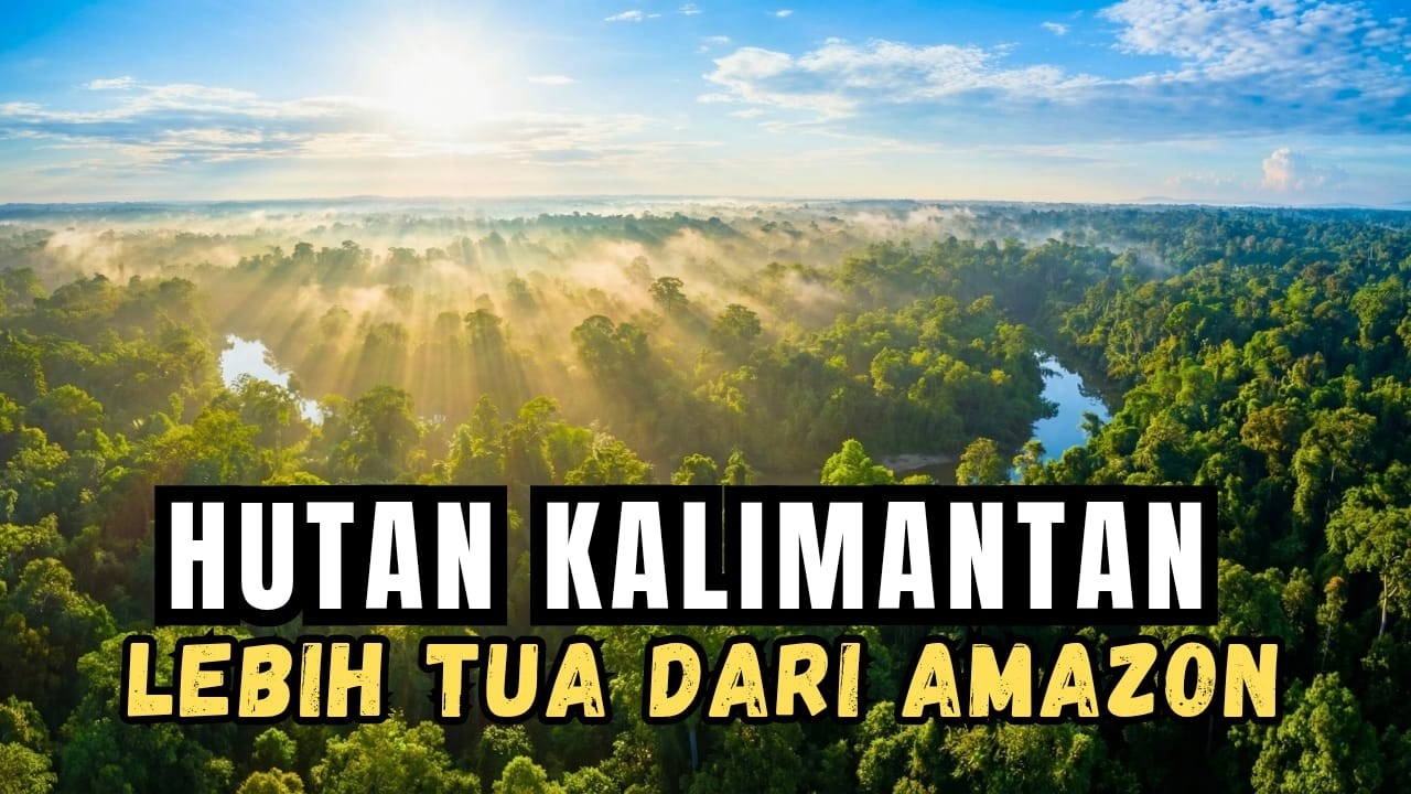 Menggemparkan ‼️Lebih Tua dari Amazon? Rahasia 140 Juta Tahun Hutan Kalimantan