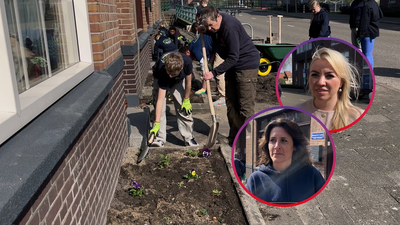 Nieuwe geveltuintjes fleuren Vlaardingse straat op: ‘Het gaat zoemen van leven’