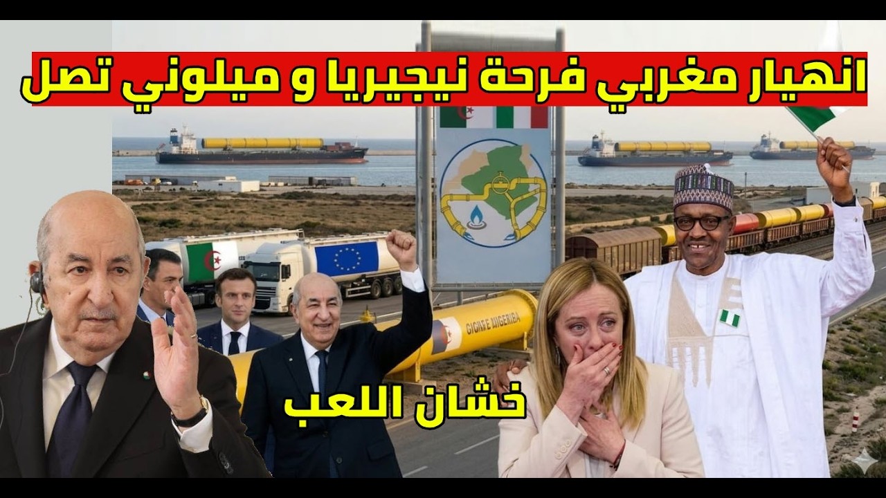 فرحة هستيرية الجزائر تباغت ميلوني مع نجيريا و انهيار مغربي تبون يسقط الغاز
