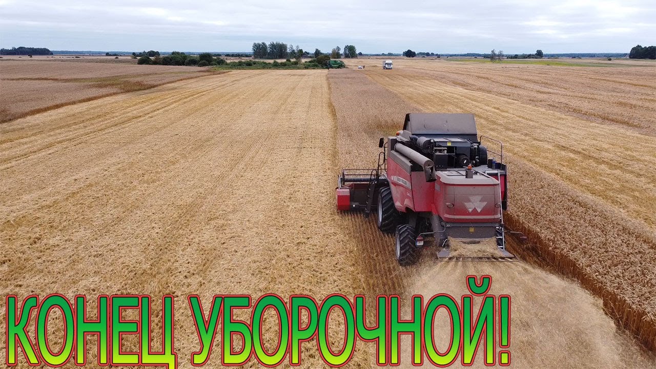 Последний день уборки зерновых. Всего убрали 459 га. УРА!