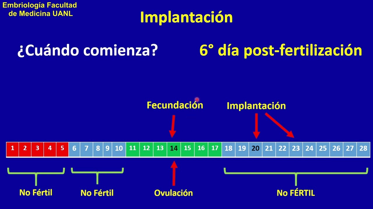 Clase implantaci&oacute;n y formaci&oacute;n de la placenta. Dr. Emmanuel Gonz&aacute;lez