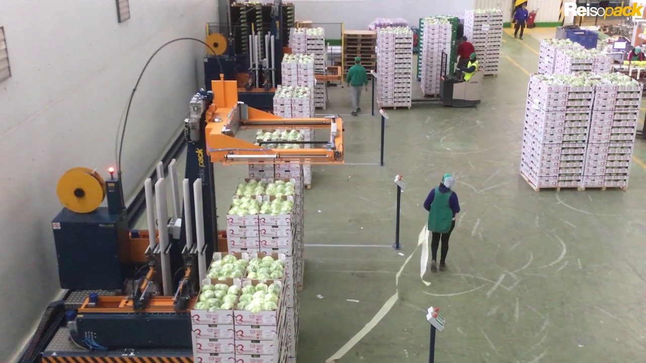 2915 Flejadora tandem trabajando