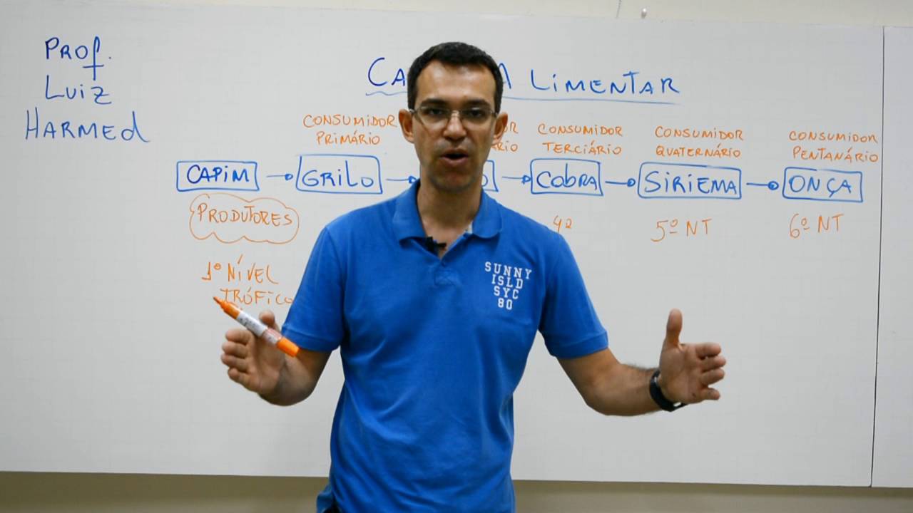 Cadeia Alimentar  e Fluxo de Energia