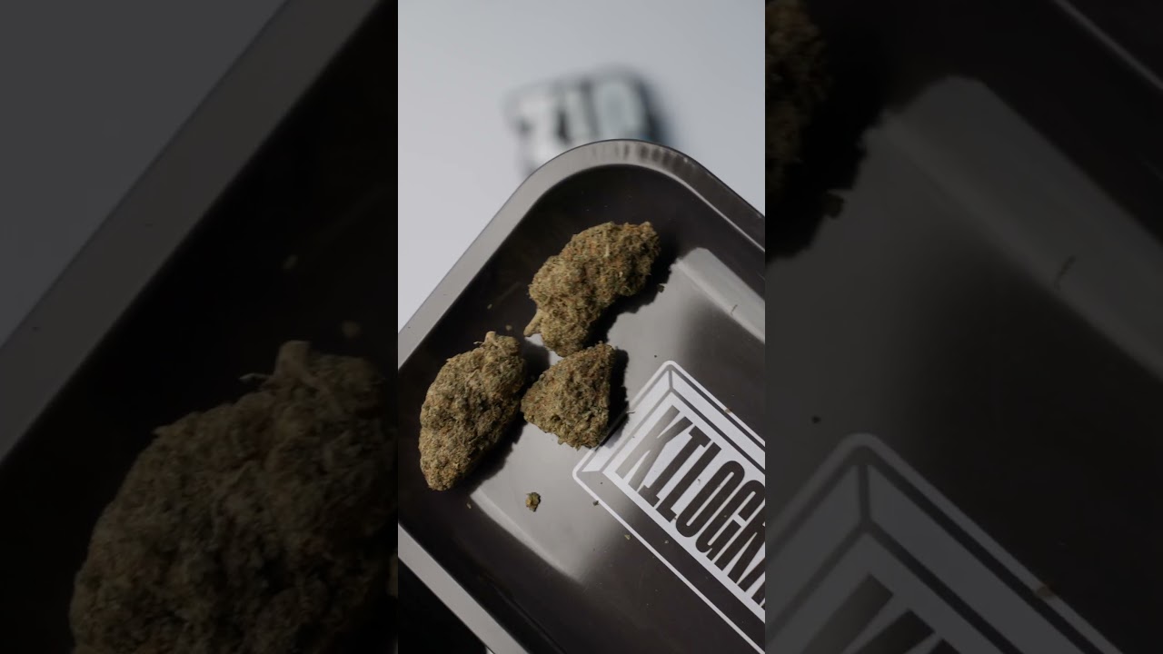 Strawberry Hydro THX &ndash; R&eacute;sine CBD Premium au go&ucirc;t de Fraise | Kilogrammes