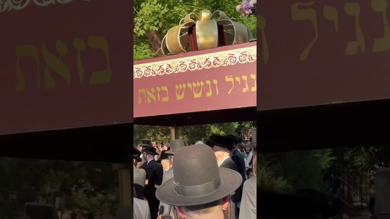 Pov: you live in Outremont #montreal