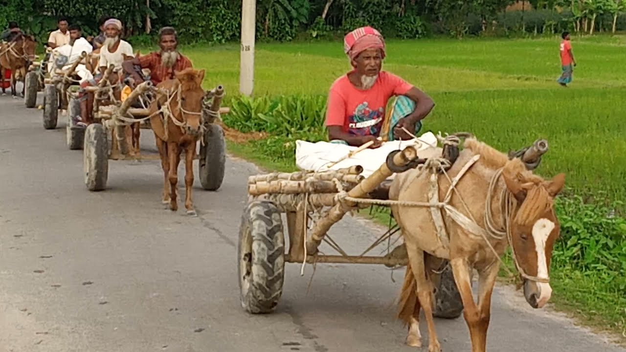ঘোড়ার গাড়ি || ঘোড়া দিয়ে মালামাল টানা || Ghoragari ||Eather ||horse driven plough || Horse Car |