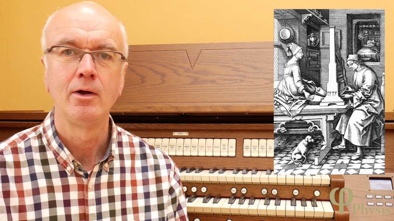 4. Tuning Options for Physis Organs