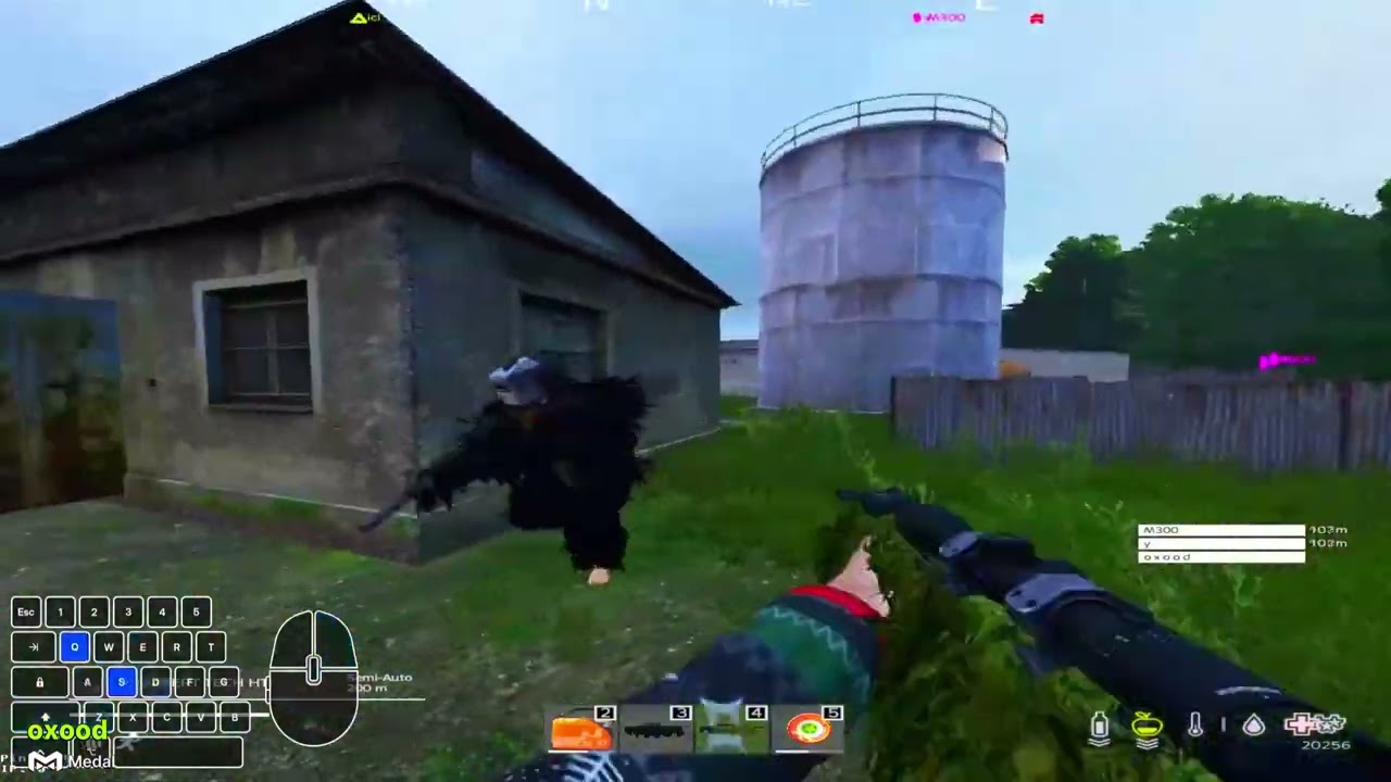 Rearmed EU2 - Dayz